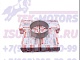 8976163580 8980554800 Вкладыши шатунные 4HK1 (0.50) ИСУЗУ NQR75/NQR90/NPR75 (к-т на двс) - isuzu-tfk